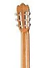 Alhambra 804-3C Classical Student 3C Гитара классическая.-4
